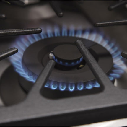 30" Crown Professional Stainless Steel Dual Fuel Gas Range ARD3001 - Crown Home Canada